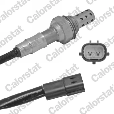 Oxygen Sensor